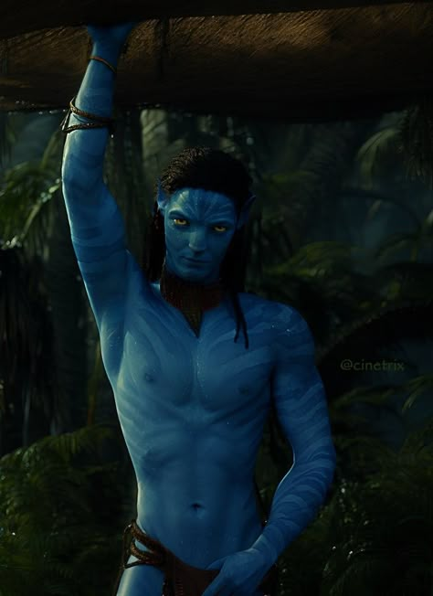 Neteyam Sully, Male Cartoon Characters, Avatar Navi, Avatar Video, Blue Avatar, Jake Sully, Avatar James Cameron, Avatar Films, Avatar Oc