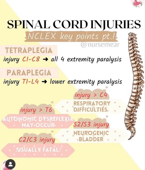 Neuro Med Surg Nursing, Spinal Cord Injuries Nursing, Nursing Neuro, Autonomic Dysreflexia, Nclex Practice Questions, Nursing School Organization, Nursing Cheat Sheet, Paramedic School, Nursing Cheat