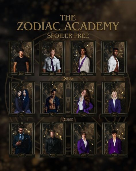 Zodiac Academy Couples, Shadow Princess Zodiac Academy, Zodiac Academy Characters, Soluna Artworks, The Zodiac Academy, Books Fanart, Book Couples, Books A Million, Art Male