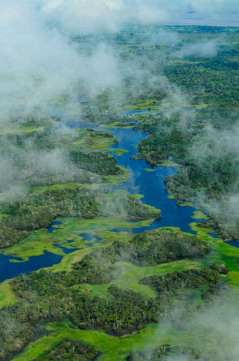 Brazil Amazon, Amazon River, Amazon Rainforest, The Amazon, Bolivia, Aerial View, Amazing Nature, Ecuador, Beautiful World