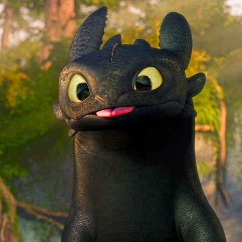 Toothless Dragon, Train Dragon, Dragon Trainer, Night Fury, Toothless, Train Your Dragon, How Train Your Dragon, Smash Cake, How To Train Your Dragon