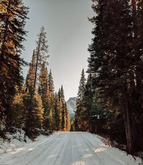 Montana Aesthetic Winter, Montana Core, Montana Mountains Aesthetic, Bozeman Montana Winter, Bozeman Montana Summer, Montana Farm, Montana Aesthetic, Farm Hotel, Montana Scenery