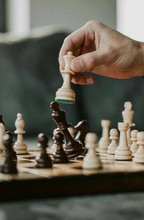 Chess Aesthetic, Chess Tournament, Chess Tactics, Chess Strategies, Queens Gambit, Chess Master, Reading Food Labels, Playing Chess, The Queen's Gambit