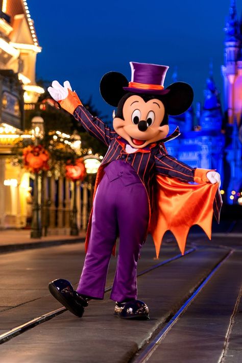 Lets Boo This! Mickey’s Not So Scary Halloween Party is back, select nights Aug 12-Oct 31 in Magic Kingdom Park! Halloween Party Tickets, Disney World Halloween, Not So Scary Halloween Party, Tema Disney, Not So Scary Halloween, Walt Disney Characters, Disney World Characters, Mickey Halloween, Scary Halloween Costumes