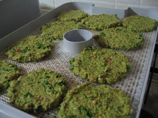 Lentil Crackers, Sprouted Lentils, Vegan Lentil Recipes, Sprouted Grains, Sprout Recipes, Cracker Recipes, Lentil Recipes, Grain Foods, Dehydrator Recipes