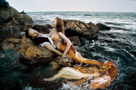 Brenda Stumpf - Mermaid Project Mermaid And Sailor, Mermaid Photography, Mermaid Cove, Dream Fantasy, Real Mermaids, Mermaid Pictures, Mermaids And Mermen, Fantasy Forest, Underwater Photography