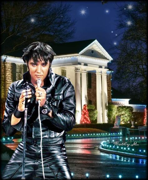 Elvis Presley Christmas, Elvis Presley Wallpaper, King Elvis Presley, Elvis Presley Images, Graceland, Christmas Pictures, Rock N, Elvis Presley, Rock N Roll