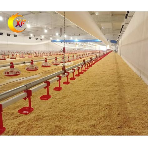 Poultry Farm Equipment Broiler Automatic Chicken Feeder Pan Poultry Feeding Line - Buy Automatic Pan Feeder System,Automatic Feeder System,Poultry Feeder And Drinker System Product on Alibaba.com Poultry Feeders, Best Modern House Design, Chicken Feeder, Automatic Feeder, Poultry Farm, Farm Equipment, Modern House Design, Modern House, House Design