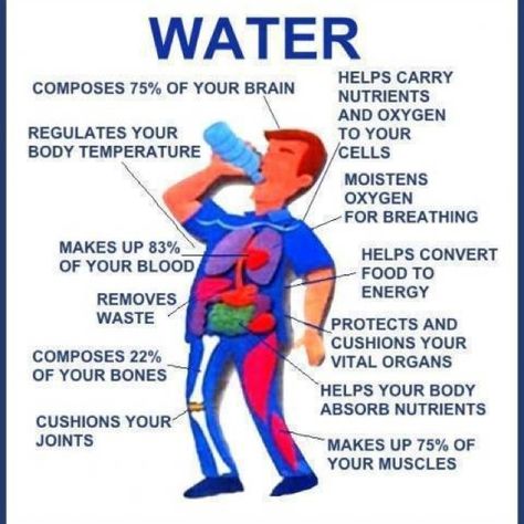 This pin demonstrates the importance of pure water for the body Importance Of Water, Benefits Of Drinking Water, Info Board, Water Benefits, Health Info, Health Facts, Healthy Tips, Healthy Body, Health And Nutrition