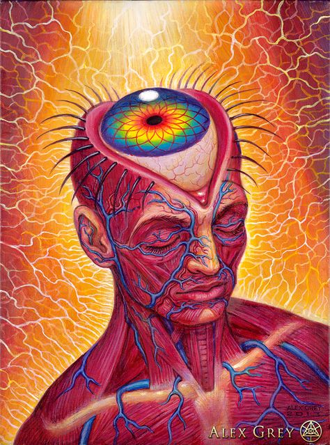 ☆ Aperture :¦: Artist Alex Grey ☆ Alex Gray Art, Arte Doodle, Alex Grey, Psychadelic Art, Eyes Artwork, Psy Art, Grey Art, Les Chakras, Visionary Art