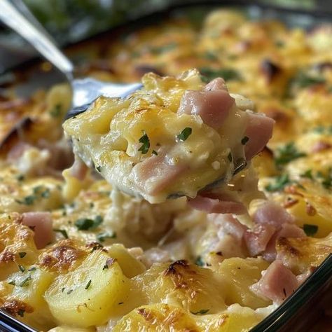 incredible recipes Ham And Cheesy Potatoes, Cheesy Ham And Potato Casserole, Ham And Potato Casserole, Cooked Ham, Cheesy Ham, Shredded Cheddar Cheese, How To Cook Ham, Cheesy Potatoes, Incredible Recipes