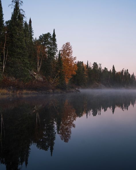 I wouldn’t mind a good fall paddling 🚣🏼‍♂️ Minnesota Aesthetic, Minnesota Landscape, Minnesota Landscaping, Minnesota