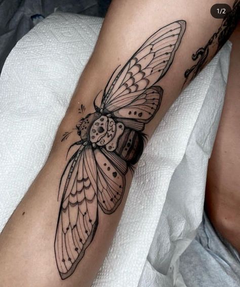 Fold Tattoo, Cicada Tattoo, Dots To Lines, Moth Tattoo, Female Tattoo, American Traditional Tattoo, Minimal Tattoo, Cute Tattoos, Tattoos And Piercings