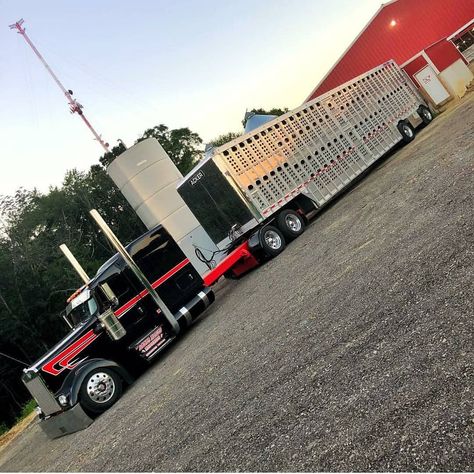 LargeCarsMafia™ on Instagram: “Mr.Cory Acker Sweet W900l 😀😍 #Kenworthw900l #Largecarsmafia #Dieseltrucks” Raider Klan, Bull Hauler, Hauler Truck, Cattle Trailers, Cattle Trucks, Kenworth W900, Freightliner Trucks, Dump Trailers, Custom Big Rigs