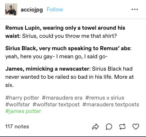 Wolf Star, Headcanon Harry Potter, Harry Otter, Harry Potte, Harry Potter Feels, Gay Harry Potter, Harry Potter Puns, Harry Potter Tumblr, Harry Potter Ships