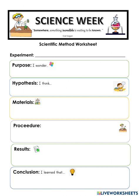 Science Hypothesis Worksheet, Scientific Method Steps, First Grade Homeschool, States Of Matter Worksheet, Scientific Method Worksheet, Science Homeschool, College Physics, Science Week, Scientific Investigation