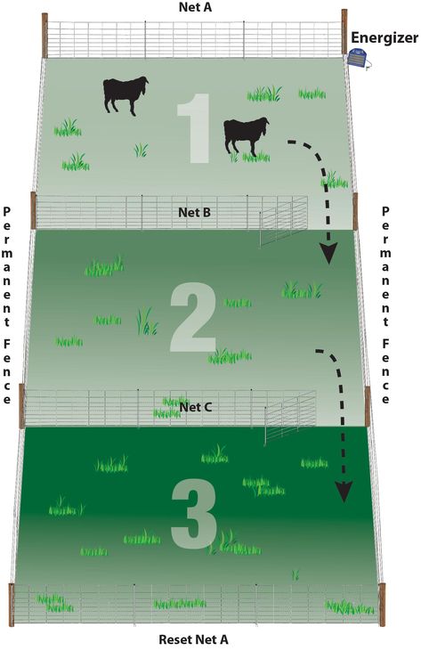 Livestock Pasture Layout, Sheep Fence Ideas, Sheep Fencing, Pasture Layout, Cow Paddock, Cow Farm Design, Pasture Shelter, Sheep Pasture, Sheep Fence