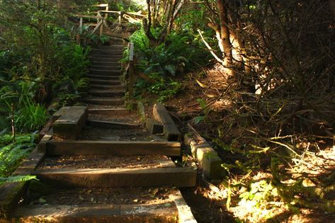 Five Trail Closures on Oregon Coast Due to Legal Wrangling, Possibly More Coming Garibaldi Oregon, Oregon State Parks, Depoe Bay, Southern Oregon Coast, Pacific City, Rockaway Beach, Park Trails, Cannon Beach, Whale Watching