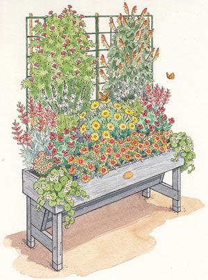 In just 5 square feet, you can attract dozens of pollinators. Get the plan for this garden, created for the Trough Vegtrug, which is 18"x40", at gardeners.com. Funny Vine, Butterfly Garden Design, Hummingbird Garden, Bee Garden, Pollinator Garden, Attract Butterflies, Garden Cottage, Butterfly Garden, Monarch Butterfly