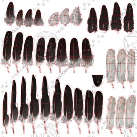 How to feather an eagle - Support / Materials and Textures - Blender Artists Community Bald Eagle Feather, Feather Template, Eagle Feather, Eagle Pictures, Eagle Feathers, Eagle Art, Different Birds, Leather Ideas, An Eagle