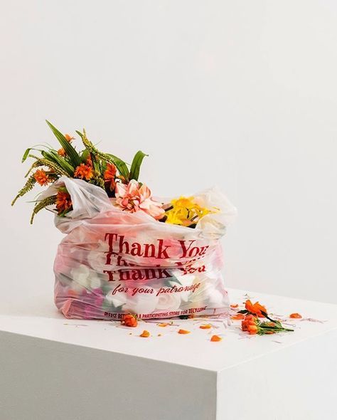 Prop Styling, Arte Floral, Photo Styling, Best Photography, Chelsea Boot, Photography Inspo, Still Life Photography, Creative Photography, Amazing Photography