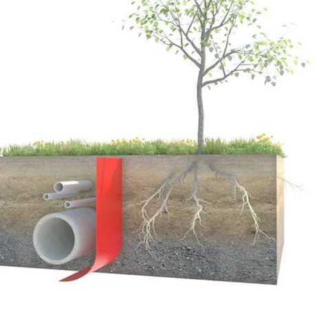 How To Cover Exposed Tree Roots, Bare Root Trees, Tree Roots Above Ground, Root Barrier, Green Roof Garden, Decorative Aggregates, Tree Stakes, Plant Watering System, Spiral Tree