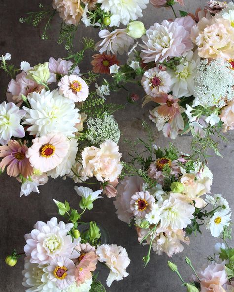 Congratulations to Katie and Debo who married yesterday at @deerparkcountryhouse 💕 Katie chose a pastel palette of peaches pinks and whites - making the most of the gorgeous zinnias, dahlias and just look at those lisianthus (thank you @wildroseandbrambleflowerfarm for letting me have these beauties 🌸) #pastelweddingflowers #southwestweddingflorist #bridalbouquet #dahliabouquet #seasonalweddingflowers Dahlia Bouquet, Pastel Wedding Flowers, Pastel Palette, Peach Pink, Wedding Florist, Peaches, Dahlia, Bridal Bouquet, Wedding Flowers