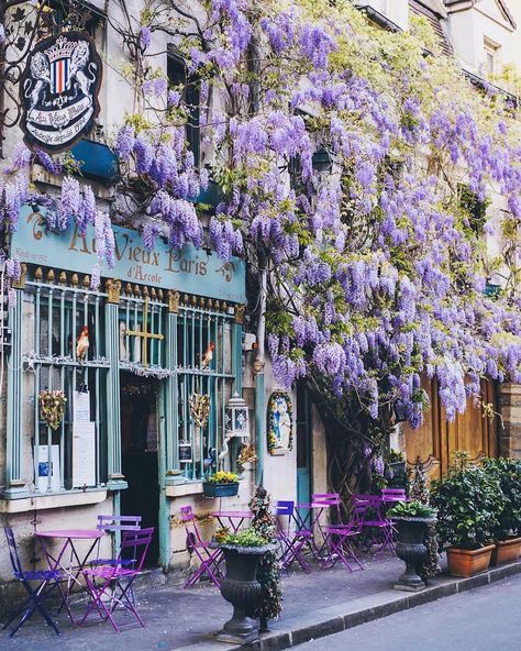 We choose this 10 best instagram photos, made in Paris in the month of July. Check them out to find the inspiration and don’t forget to save your favorite ones, not to loose the locations! Paris Cafe, Spring Trip, Unique Flowers, Pretty Places, Wisteria, Travel Aesthetic, Most Beautiful Places, Purple Flowers, Places To See