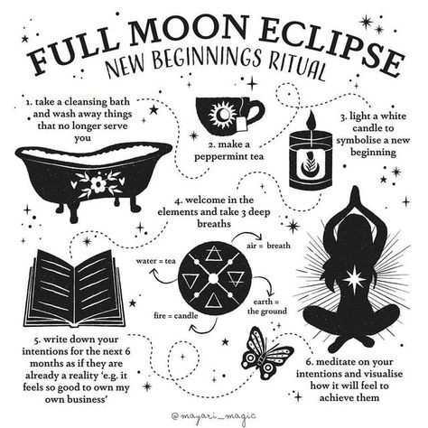 Solar Eclipse Magic, Blood Moon Lunar Eclipse, Moon Facts, Full Moon Eclipse, Blood Moon Eclipse, Lunar Witch, Spiritual World, Witch Rituals, Witch Spirituality