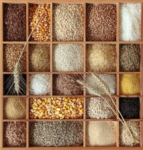 Cooking Grains, Whole Grain Foods, Whole Grain Cereals, I Quit Sugar, Wheat Recipes, Whole Grain Flour, Healthy Grains, Stone Ground, Ancient Grains