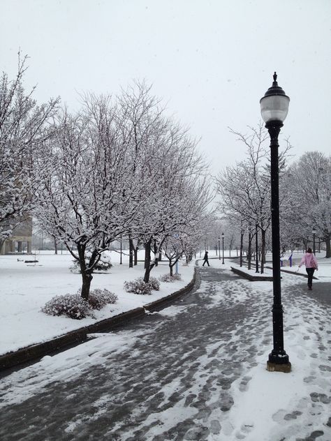 Snowfall in Niagara Falls, NY on Niagara University's Campus. Niagara University, Niagara Falls Ny, Personal Photography, University Campus, Awesome Things, College Life, Niagara Falls, Eagles, Favorite Places