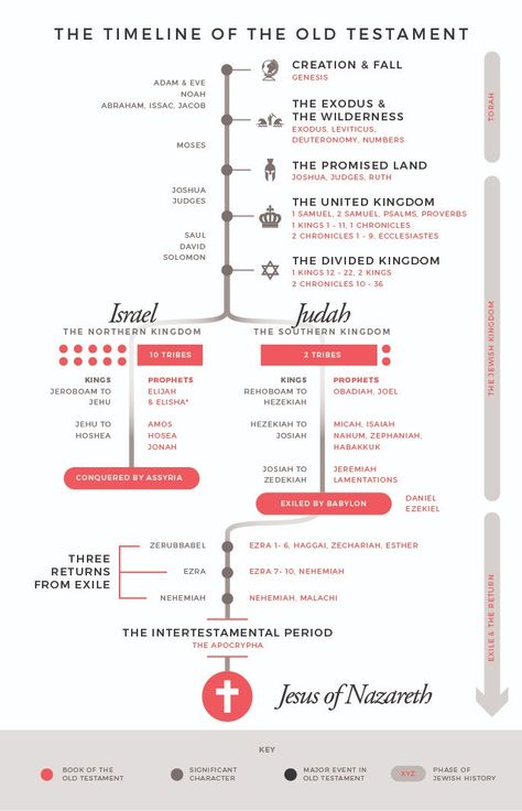 Biblical Timeline History, Old Testament Bible Study Plan, New Testament Chronological Order, Bible Basics For Adults, Old Testament In Chronological Order, Bible History Timeline Free Printable, Bible Timelines Free Printable, Orthodox Bible Study, Bible Translation Comparison