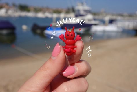 A little jellycat lobster by the beach 🦞 - - - #jellycat #clay #polymerclay #clayartist #artistsupport #lobster #clayart #plushies #magpiejay Clay Lobster, Polymer Clay Ideas, By The Beach, Clay Ideas, Clay Art, Polymer Clay, The Beach, Quick Saves