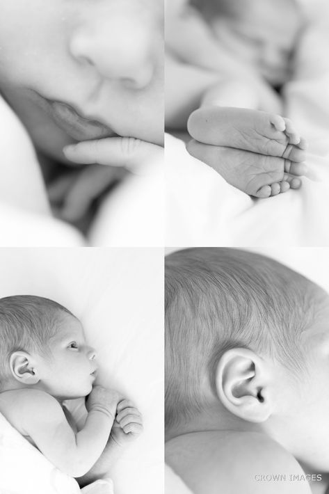 Newborn And Toddler Pictures, Old Baby Pictures, Simple Newborn Photos, Newborn Hospital Pictures, Newborn Family Pictures, Baby Boy Newborn Pictures, Toddler Pictures, Crown Images, Baby Boy Newborn Photography