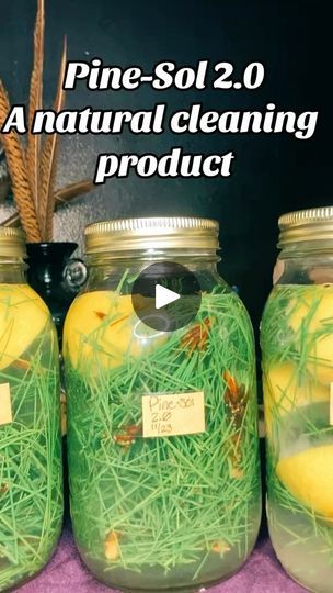 Homemade House Cleaners, Live Off The Land, Toxic Cleaning Products, Herbal Plants, Healthy Herbs, Health Living, Homemade Cleaning Products, Natural Cleaning, Natural Cleaners