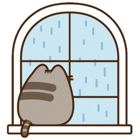 Pusheen Widgets, Pusheen Aesthetic, Pushing Cat, Pusheen Gif, Pusheen Stormy, Pusheen Love, Pusheen Stickers, Pop Cat, Pusheen Cute