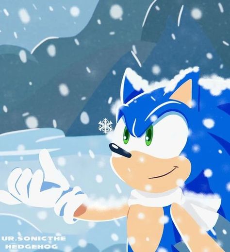 Sonic Christmas, Sonic Gallery, Sonic Pfps, Sonic Fanart, Sonic Characters, Sonic And Amy, Sonic Funny, Blue Hedgehog, Sonic Franchise