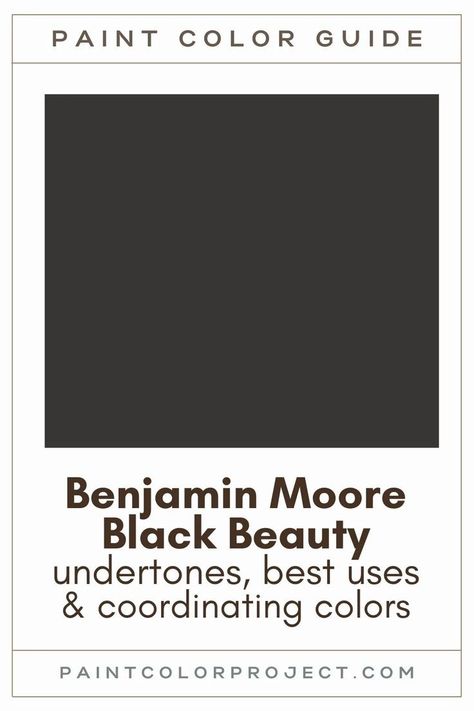 Looking for the perfect black paint color for your home? Let’s talk about Benjamin Moore Black Beauty and if it might be right for your home! Benjamin Moore Black Beauty, Benjamin Moore Black, Swiss Coffee Benjamin Moore, Benjamin Moore Exterior Paint, Family Room Paint Colors, Black Exterior Doors, Benjamin Moore Exterior, Brown Paint Colors, Revere Pewter Benjamin Moore