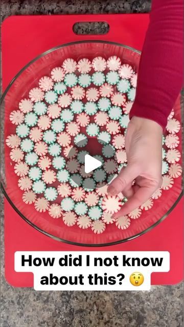 Mistie Knight on Instagram: "How did I not know this candy trick? 😍 #candy #foodhacks #lifehacks #dessert" Peppermint Candy Tray, Peppermint Tray, Peppermint Candy Crafts, Christmas Candy Crafts, Candy Tray, Christmas Peppermint, Make Dessert, Diy Crafts Christmas, Candy Crafts