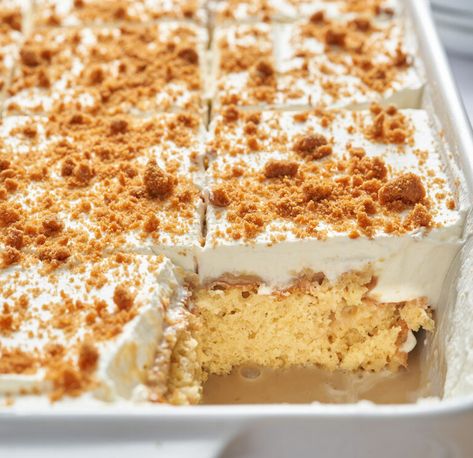 Lotus Tres Leches Cake, Quatro Leches Cake, Biscoff Poke Cake, Milk Cakes, Eid Dessert Recipes, Tres Leches Recipe, Leche Cake, Biscoff Recipes, Biscoff Cake