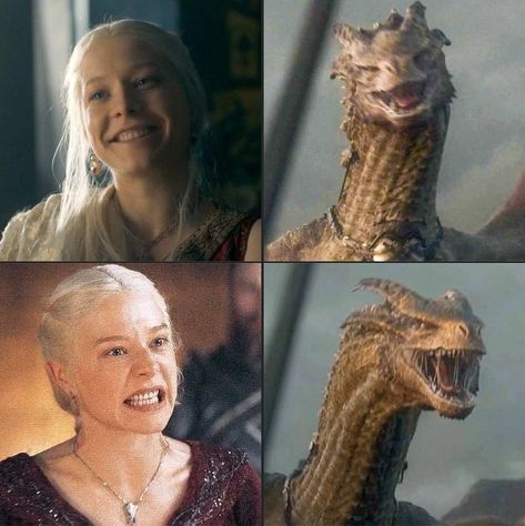 Game of Laughs | #HouseOfTheDragon #gameofthrones | Instagram Emma Greenwell, Anime Nose, Queen Rhaenyra, Dragon Icon, Dragon House, Game Of Thrones Dragons, Game Of Thrones Quotes, A Dance With Dragons, Game Of Thrones Funny