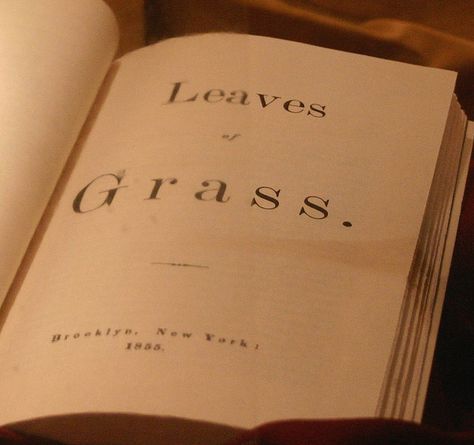 whitman Leaves Of Grass Walt Whitman, Lauren Oliver, Leaves Of Grass, Good In The World, Radio Drama, Books Everyone Should Read, Free Verse, University Of Notre Dame, Book Of Poems