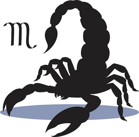 Scorpion Zodiac Sign, Scorpion Zodiac, Scorpions Zodiac, Yearly Horoscope, Scorpio Horoscope, Foreign Travel, Scorpion, Zodiac Sign, Zodiac Signs