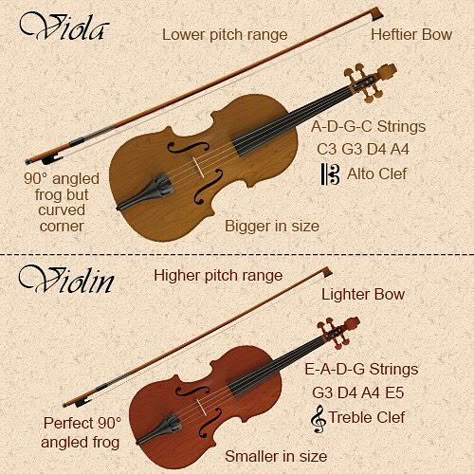 DIFFERENCES IN PLAYING THE VIOLIN AND VIOLA As I mentioned earlier the viola and violin are played in a similar manner. The main difference is that the viola is slightly larger meaning that you must place your fingers slightly farther apart when playing viola than on the violin. Since the instrument is larger is it also heavier and requires thicker strings and heftier bows. Viola bows generally weigh anywhere from 69 to 74 gramsabout 10 grams heavier than violin bows. One way to tell a viola bow Frog Playing Violin, Viola Playing, Songs Ideas, Viola Music, Violin Teaching, Viola Instrument, Cool Violins, Playing The Violin, Orchestra Music