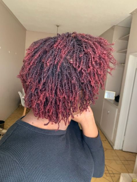 8 months in. Red Hair Dark Red Microlocs, Red Microlocs, Loc Colors, Micro Locs, Sister Locs, Sisterlocks, Red Ombre, Hair Colours, Locs Hairstyles