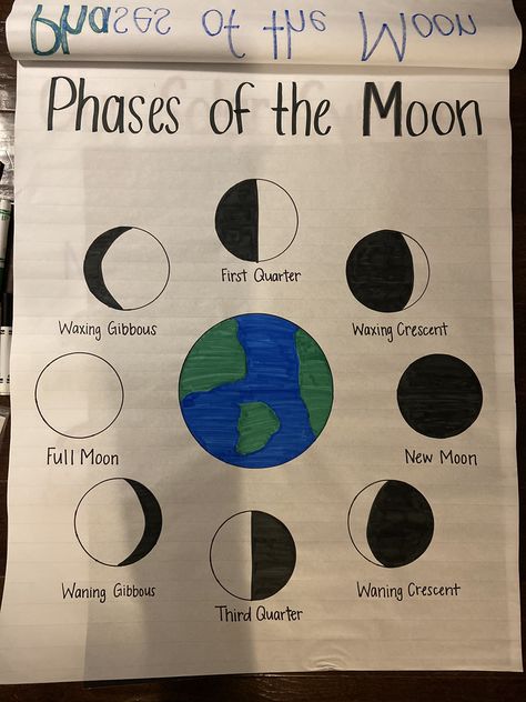 Ckla Astronomy First Grade, Phases Of The Moon Anchor Chart, Solar Eclipse Anchor Chart, Sst Chart Ideas, Moon Phases Anchor Chart, Phases Of The Moon Project, Preschool Planets, Moon Notes, Oreo Moon Phases