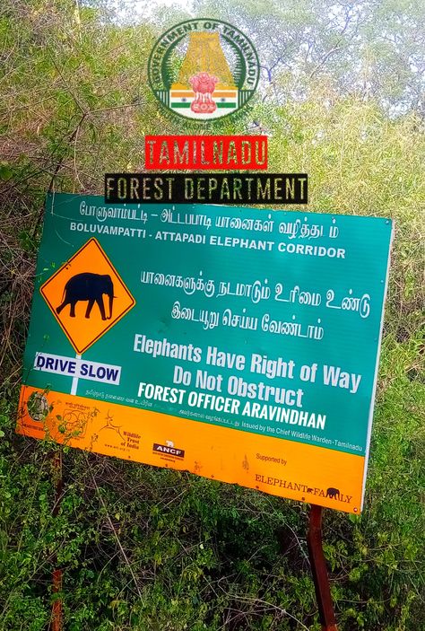 Coimbatore forest department Forest Department, Wildlife Photographer, Coimbatore, Elephant, Forest, Book Cover, Photographer