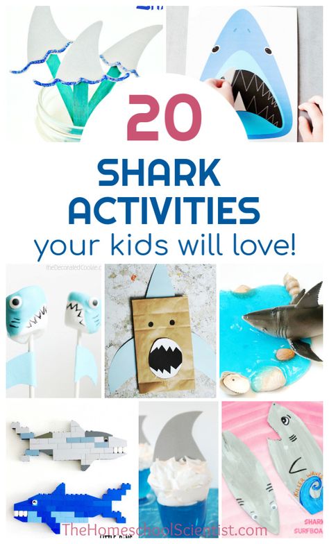 Shark activities your kids will love #sharks #sharkweek #crafts Shark Week Activities, Ocean Lessons, Shark Videos, Shark Week Crafts, Boys Activities, Shark Books, Shark Activities, Shark Week Party, Steam Kids