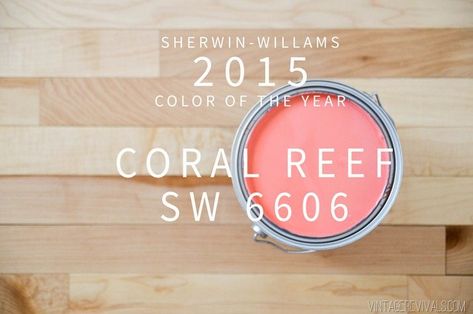 Sherwin-Williams Coral Reef Color of the Year 2015 Fun Bathroom Colors Paint, Coral Reef Color, Twins Nursery, File Cabinet Desk, Room Accent Wall, Minted Art, Vintage Revival, Retro Interior, Big Girl Rooms