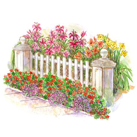 Fence With Flowers, Summer Witch, Small Garden Plans, Curb Appeal Garden, Garden Plan, Corner Garden, Sloped Garden, White Picket Fence, Garden Shrubs